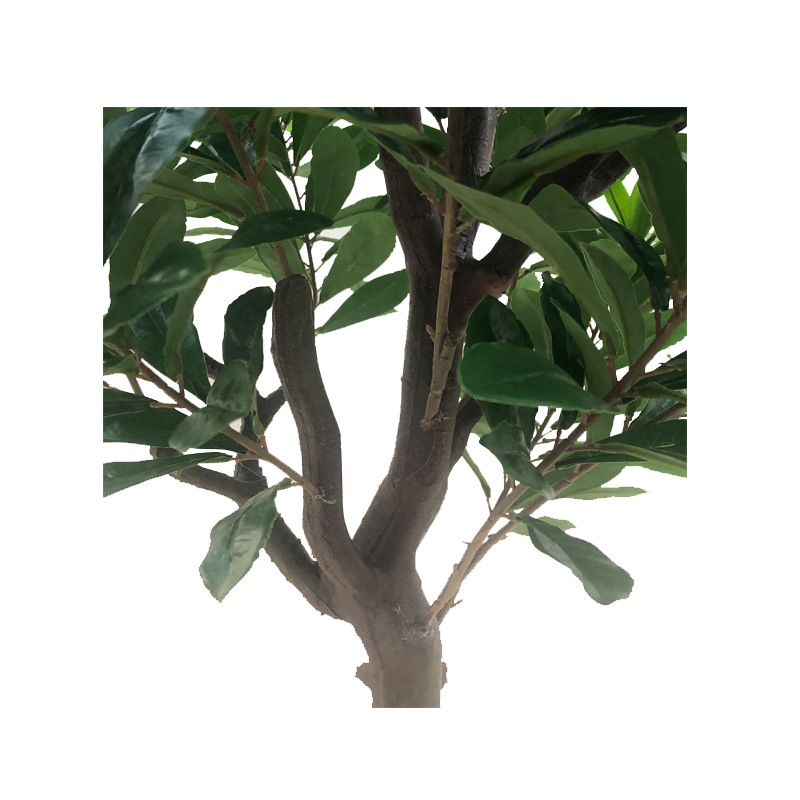 XRS-081 杨梅叶1.5米  (1).jpg