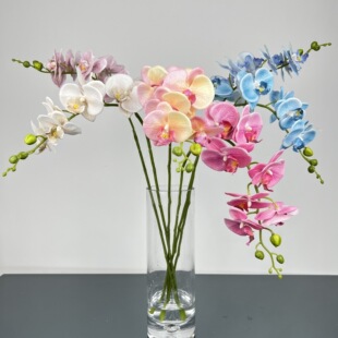 ����Gֲ�����m��Y�Ƶ�Ҿӈ������ñ���3D�����m���R�d�羳���T