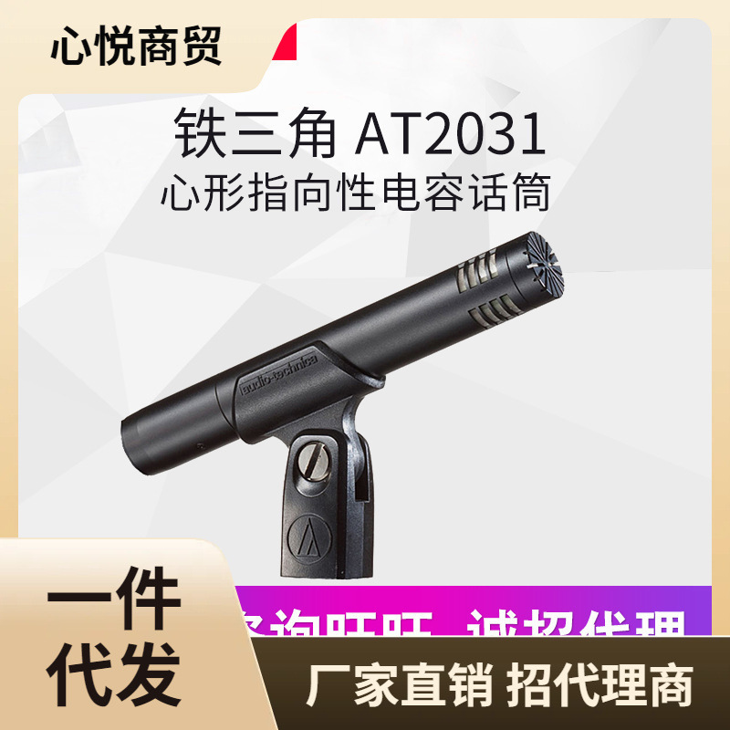 Audio Technica/铁三角 AT2031 电容麦钢琴提琴吉他人声专业话筒