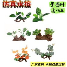 �羳����ˮ��ֲ���ľˮ���b��ָв��~���쾰�߷���ˮ�Ŕ[��