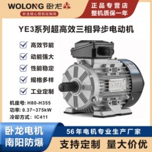 ����YE3 WE3 YE4 WE4 YE5 WE5-315L1-4 160KW IC411 IP55 ����Ч