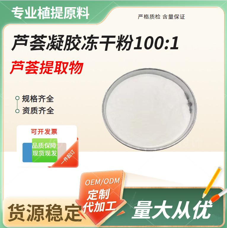 芦荟凝胶冻干粉 库拉索芦荟粉 植物提取 厂家现货量大从优