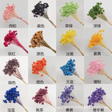 ����ֲ�� Сɽ�� �ɻ����� �Ҿ�װ���ֹ�diy�滨�������յ���