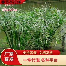 һ�����lˮ�񺵂���ļ�����ˮ�����������L܇�݃����՚����ԾGֲ