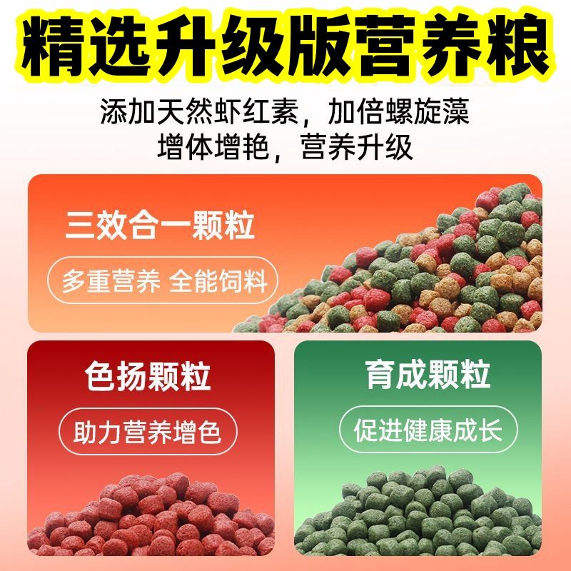 ★: [80% 수족관 추천] 삼색 영양식품 중립 0.5kg (구매 1.0kg발 1.5kg / 구매 1.5kg발 2.5kg )