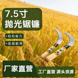 �砷�������������������Ҳ�T7.5�璁���h�����^���ȳ��ڌ���