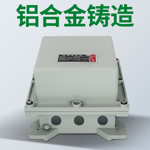Bxj Explosion-Proof Distribution Box Explosion-Proof Empty Lighting Power Maintenance Switch Cabinet Control Power Instrument Socket Junction Box