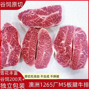 ����1265�Sԭ�к�ţ���240��M5ţ����ĵϠ��������rѩ��ţ��