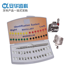 Rd ƲϽiвֱzǻв MBTroth345h