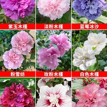 ľȻذ󻨻ͺ͟ỨľʳľȘ