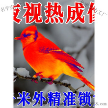 ¿g֙CBӸhR׷ۙӲ+ܛ