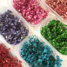 �M���������������l �����b�ɻ��� �b��滨�[���Ĕz����