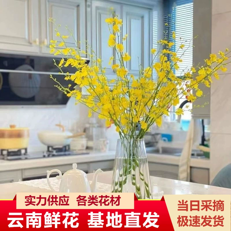 Wenxin цветы орхидеи оптом Юньнань танцующий Орхидея Цветочный магазин свадебные цветы вода цветочная композиция букет с цветами