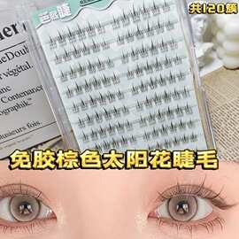无需胶水~免胶自粘棕色太阳花假睫毛分段式自然仿真新手显白
