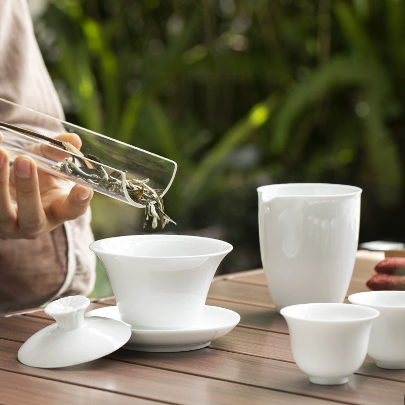 Tea set, tea cup for home use for office, 6 packs