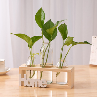 Simple Nordic Test Tube Glass Vase Water Flower Arrange Plant Container Office Desktop Hydroponic Green Rose Ornaments