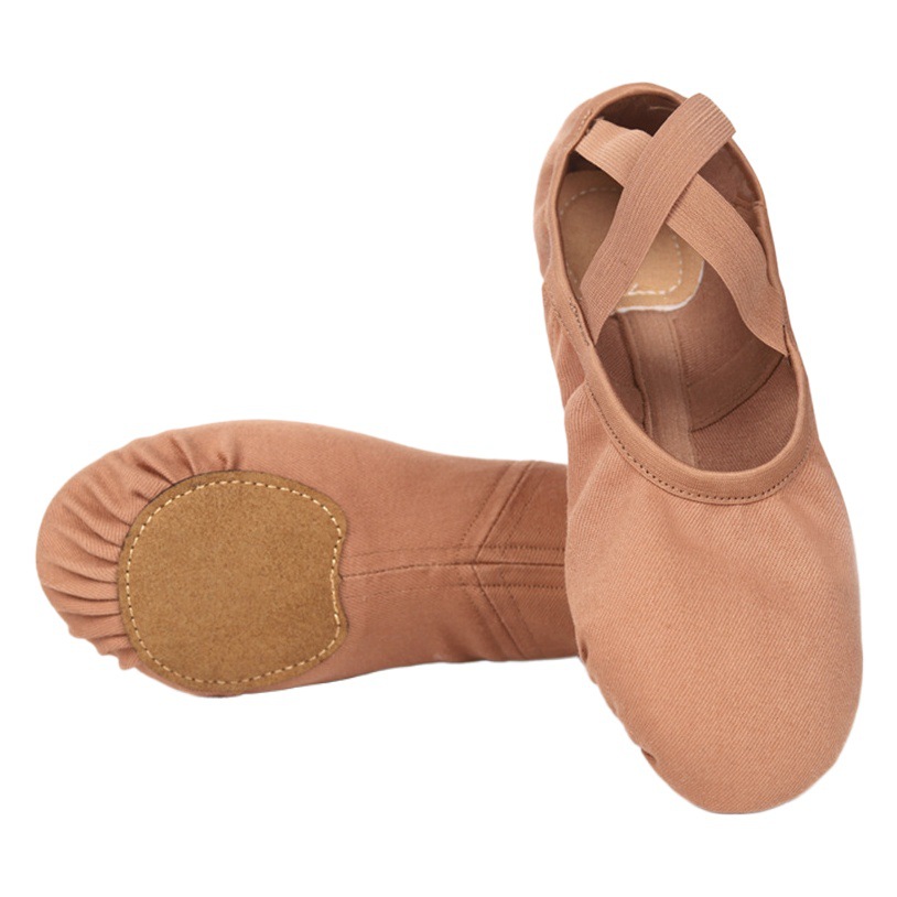 Full stretch cloth dance shoes women's soft-soled exercise shoes professional body dance shoes lace-up free cat claw shoes Chinese ethnic