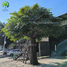 @־^̷ Ʋ䓴Ř ҃ͷˮŘ