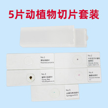 5Ƭ�����@΢�R�˱���Ƭȡ�����r�˱��Y��������������ɉ�����