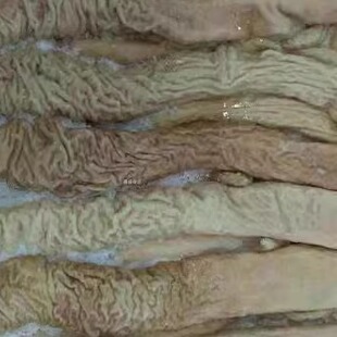 ���r���c�^ �i���c ���c�^ë��5���b �Ƀ�����������c���ʳ��