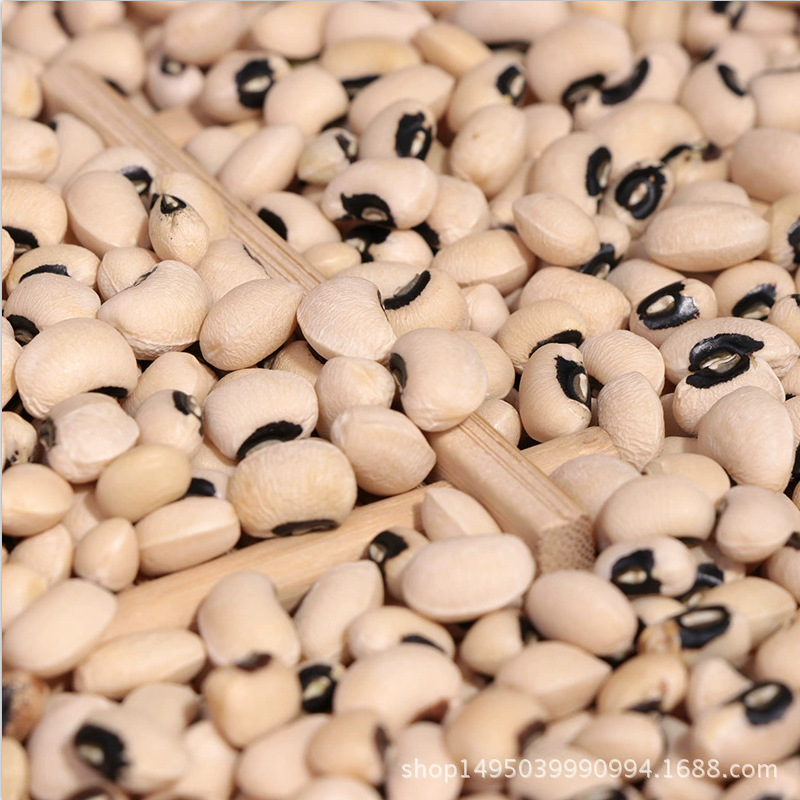 검은 입 백색 cowpea 곡물 백색 cowpea 백색 쌀 콩 눈썹 콩 도매 곡물 공급 대량 다크 브라운 입