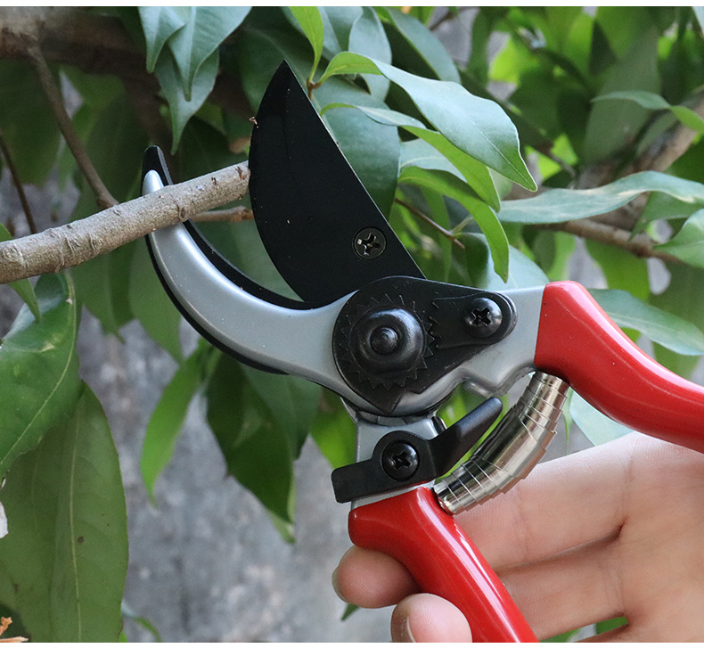 SXJ0022黑详情页-1688_05.jpg