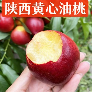 ����t�������c�t�����S���������rˮ���Fժ���𑪼������S������