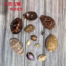 ��Ȼ���݌���ؐ���~��ˮ�����쾰�b[���Y��diy�Ą���ˇƷ�ղ�
