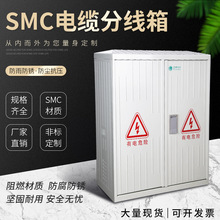 玻璃鋼非金屬配電箱塑鋼壁掛式電纜分支箱SMC綜合箱1000*800*350