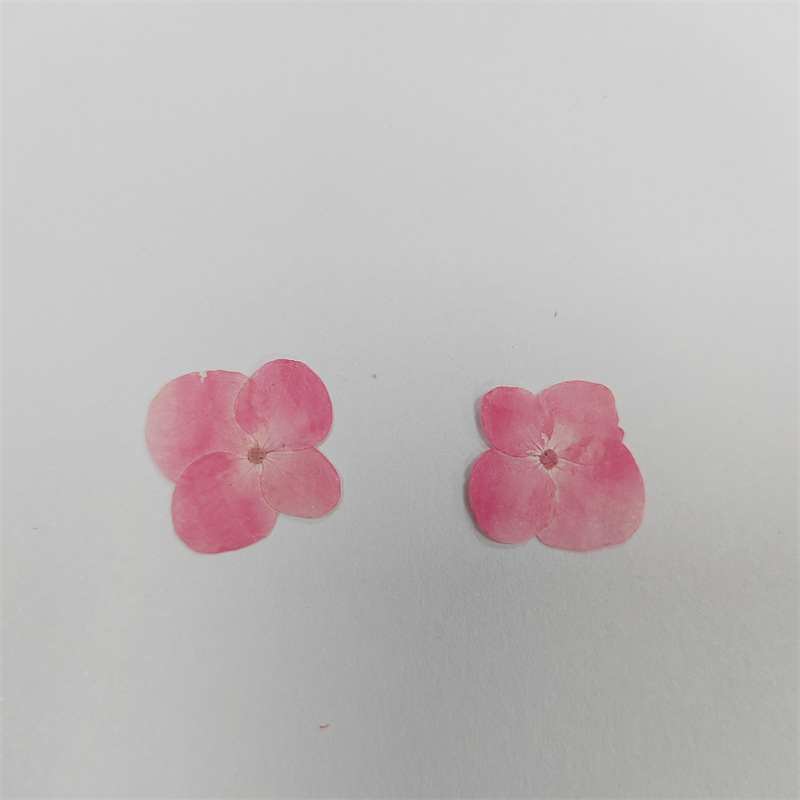 绣球粉色