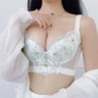 矫正聚拢蕾丝记忆胸罩