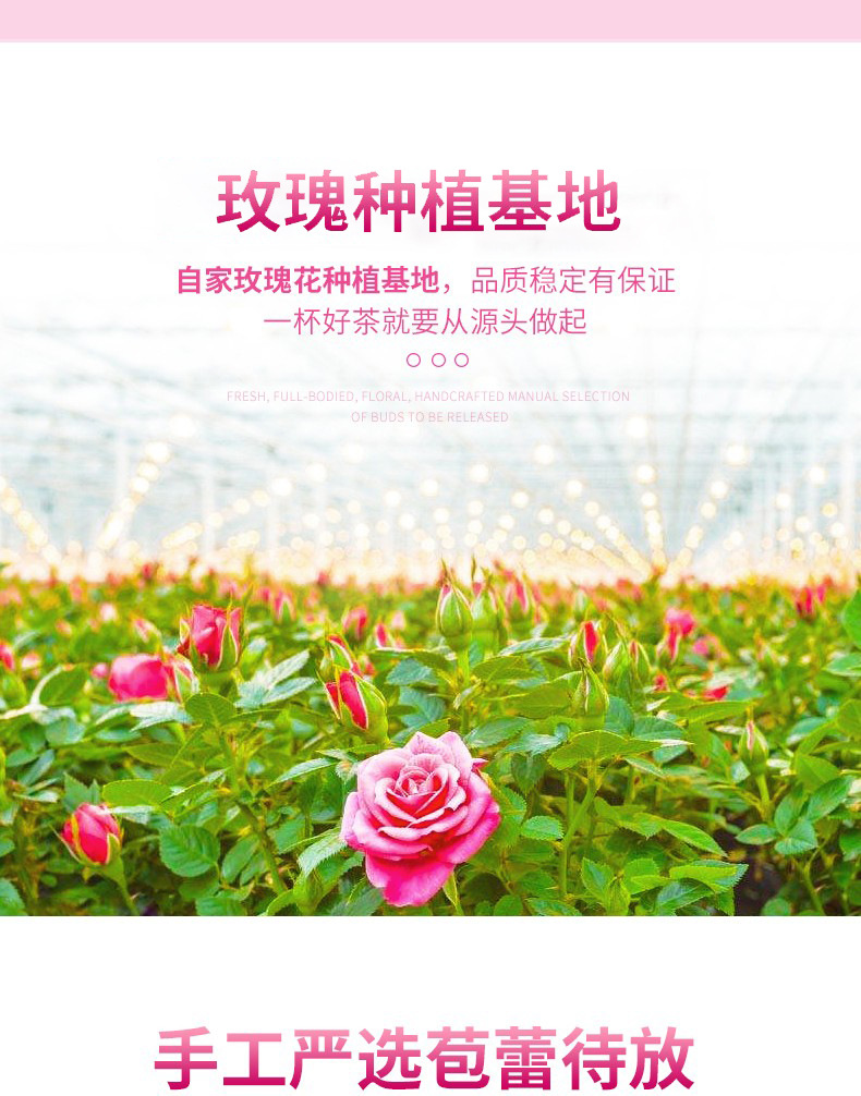 Dried Rose Bud Tea Mei Gui Hua Loose Herbal Flower Tea for Brewing 500g overview