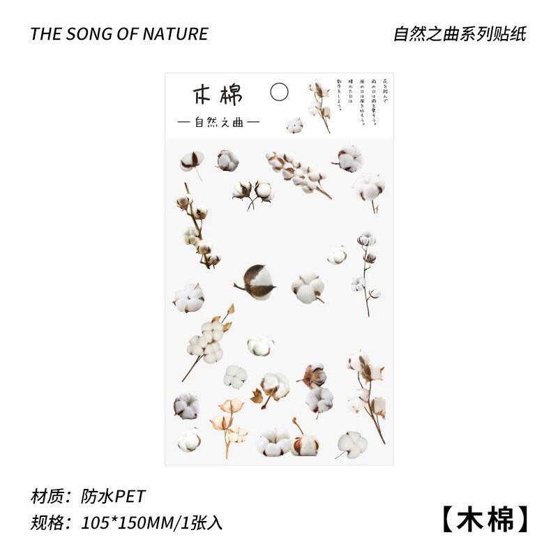 Transparent Waterproof Stickers, Floral & Botanical Designs, Small 3.33×1×0.33 cm, Assorted