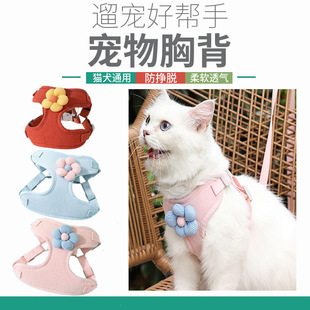 Cat Leash to Prevent Break-Away, Small Size Dogs Vest-Style Harness, Cat Leash Chain for Walking, Cute Teddy