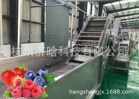 杨梅果汁生产线