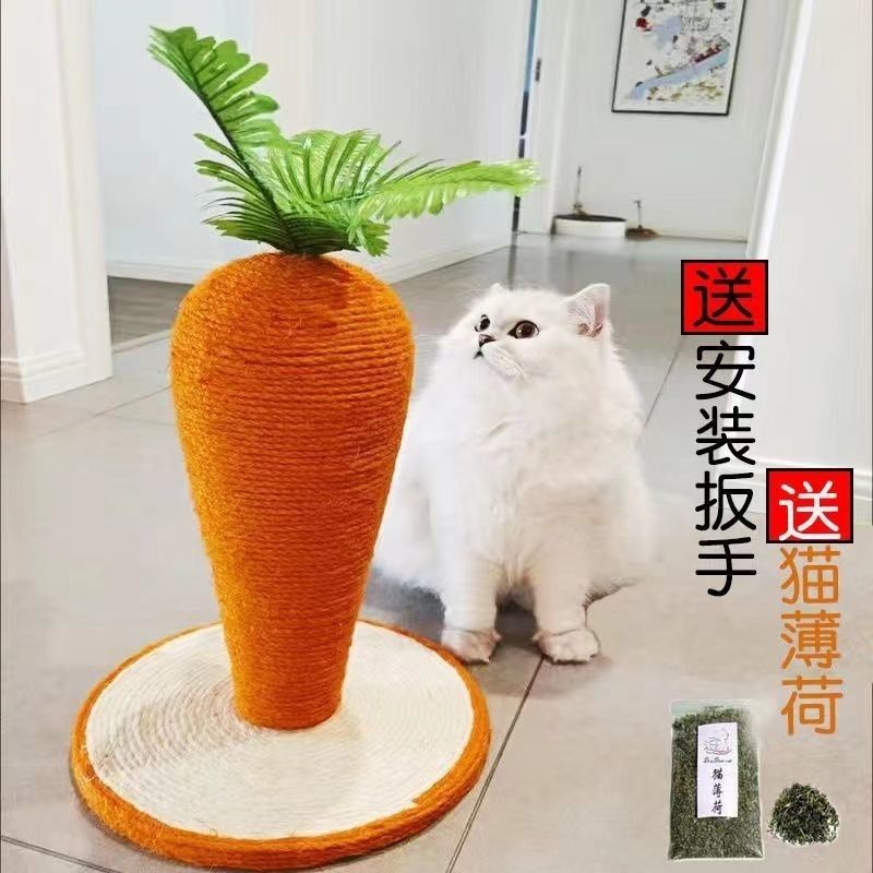당근 고양이 긁기 보드 사이 잘 고양이 긁는 열 애완 동물 고양이 등반 랙 고양이 장난감 용품 그라인딩 발톱 긁기 가려움증