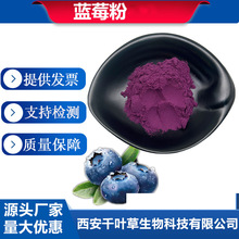 固体饮料 蓝莓粉蓝莓汁粉蓝莓提取物 蓝莓果粉卖家包邮定制
