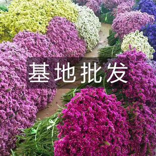 �ؔ�Փ���u�������r���ɻ���ɫ���x���ջ��Ļ����M؛�����[��