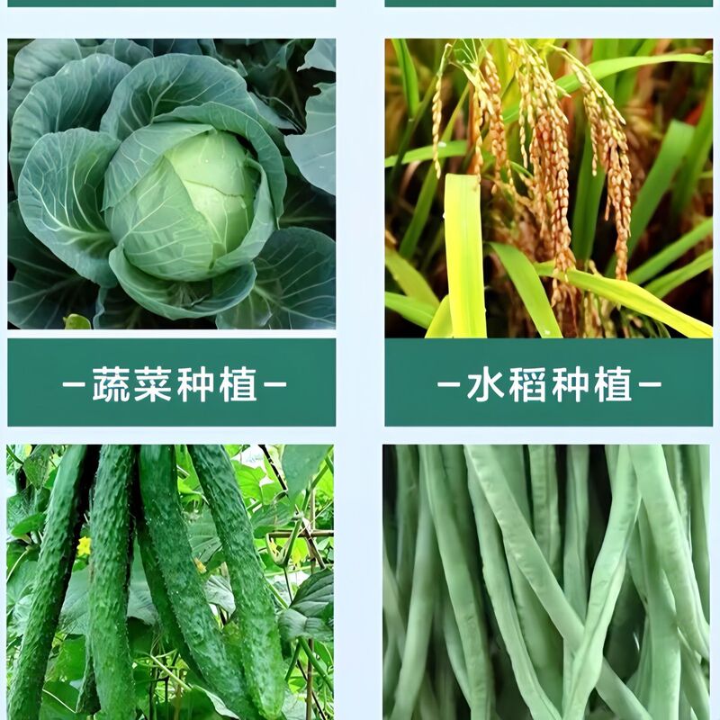 Junliqing 微生物剤 新型菌剤 根腐れ 灰黒粉葉斑炭疽葉斑病予防卸売|undefined