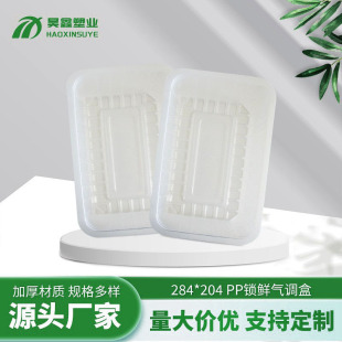 284204�i�r�� �����~�Ѹ���������������u���͵ؚ͜��{�i�r��