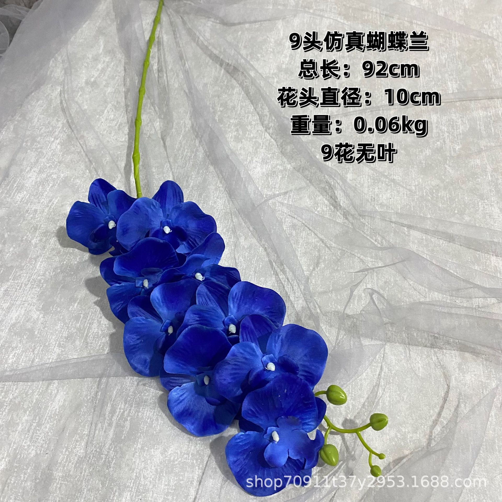 다크 블루