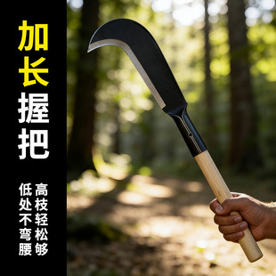 ���l�ֹ�呴򿳘俳�񵶼���砵���ݵ���������ľ���r�Ï���