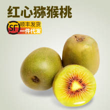 【顺丰快递】四川蒲江红心猕猴桃代发新鲜水果当季时令红果奇异果
