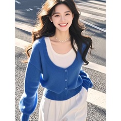 洋气减龄上衣蓝色假两件针织衫女2025秋季新款今年流行的漂亮小衫