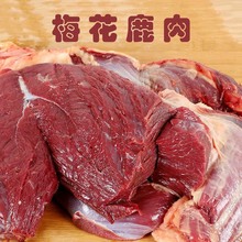 一件代发鲜鹿肉 东北吉林鹿乡直销批发量大从优批发梅花鹿鲜鹿肉