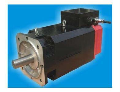 法国SCHNEIDER伺服电机