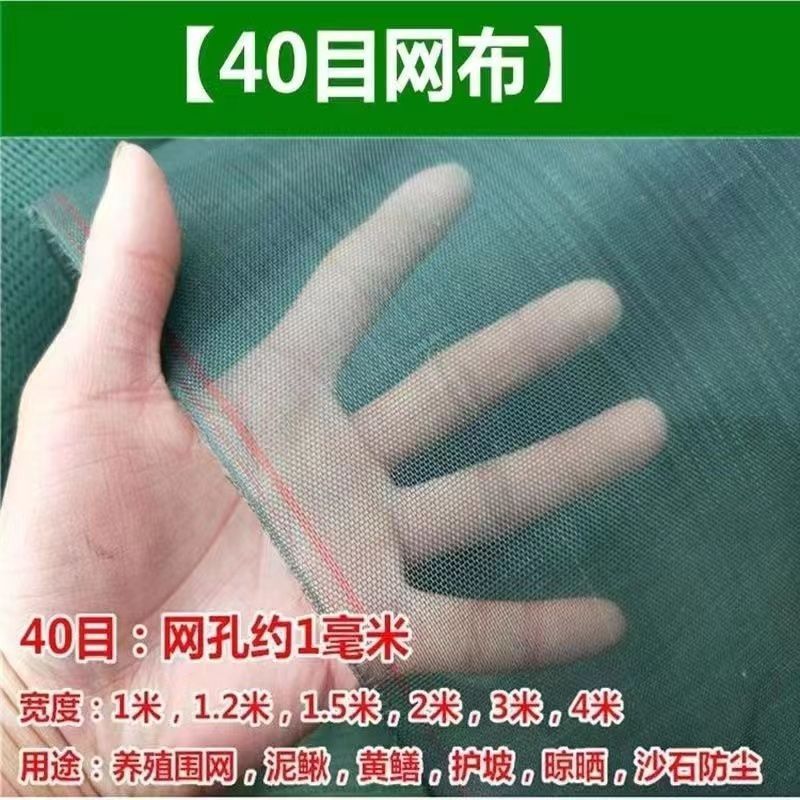全新料40目渔网池塘护坡专用泥鳅苗鱼苗虾苗黄鳝蜗牛养殖专用网布