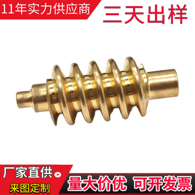 [渐开线蜗杆 非标传动零件批发 五轴加工品质过硬出货快捷价格亲民]