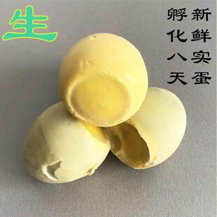 ����ˮ���ѵ�����8�����r���u�������ؔ������������oë�u�l����