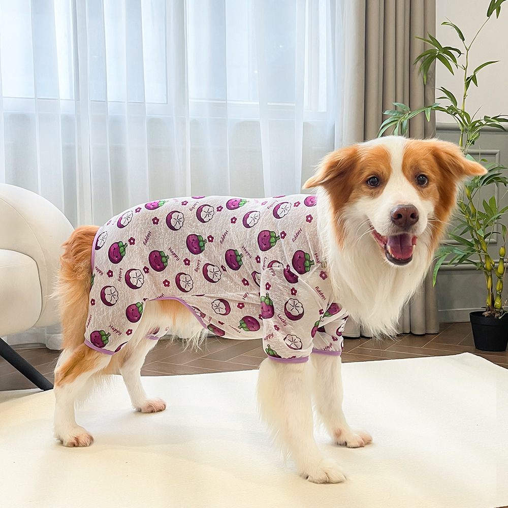 Nuevas mascotas primavera y verano ropa de gato perro ropa de cuatro patas gato pantalones de cuatro patas al por mayor productos para el hogar transpirables